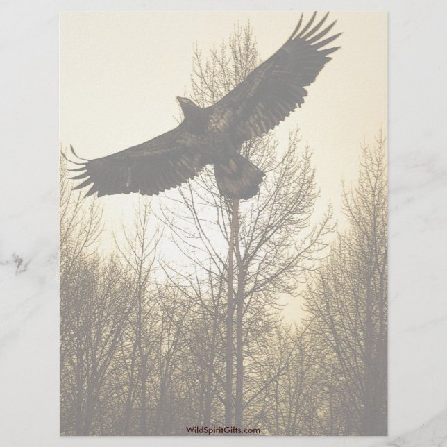 Cool Bald Eagle Wildlife Collection Letterhead (Front)
