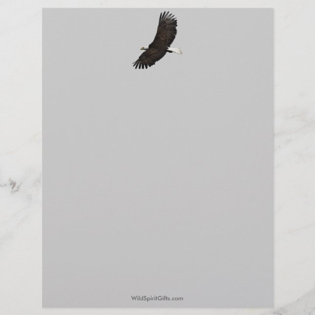 Cool Bald Eagle Wildlife Collection Letterhead (Front)