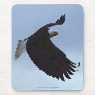 Cool Bald Eagle Wildlife Collection Mouse Pad