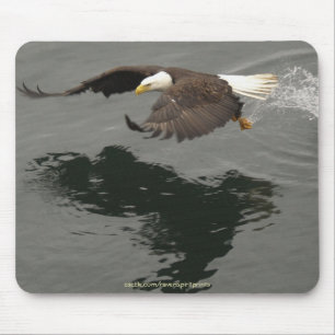 Cool Bald Eagle Wildlife Collection Mouse Pad