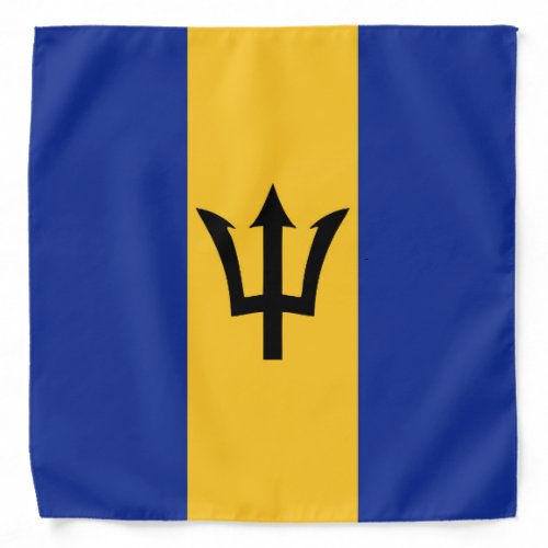 Cool Barbados Flag Fashion Bandana
