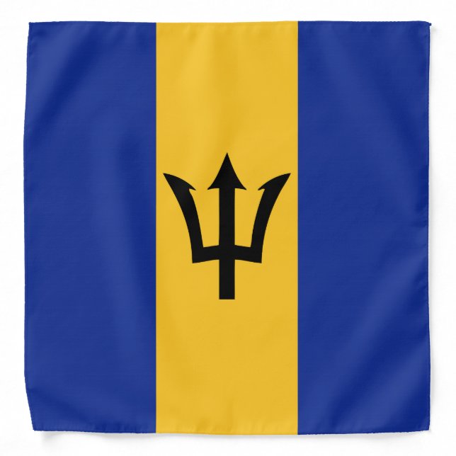Cool Barbados Flag Fashion Bandana (Front)