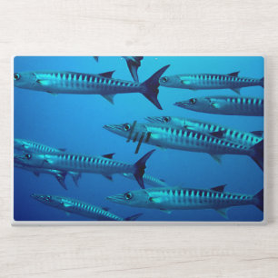 Cool Barracudas HP Laptop Skin