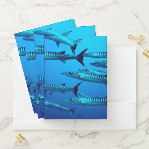 Cool Barracudas Pocket Folder