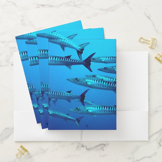 Cool Barracudas Pocket Folder (In Situ)