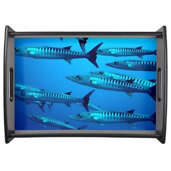 Cool Barracudas Serving Tray by beachcafe at Zazzle