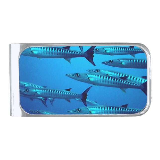 Cool Barracudas Silver Finish Money Clip (Front)