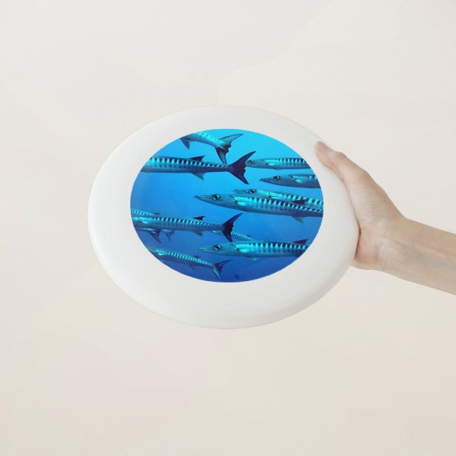 Cool Barracudas Wham-O Frisbee (In Hand)