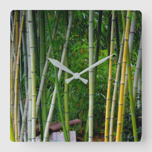 Cool Beautiful Bamboo Grove Green Yellow & Gray Square Wall Clock