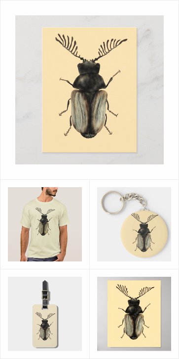 Cool beetle entomology art
