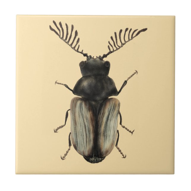 Cool beetle insect lover entomology art ceramic tile (Front)