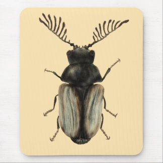 Cool beetle insect lover entomology art mouse pad