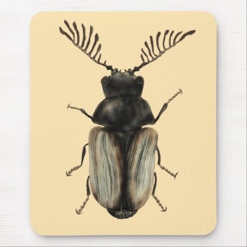 Cool beetle insect lover entomology art mouse pad