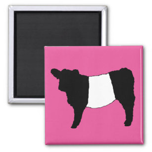 Cool Belted Galloway Cattle Rare Cow Beltie Steer Magnet