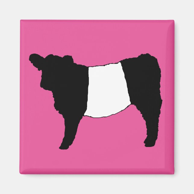 Cool Belted Galloway Cattle Rare Cow Beltie Steer Magnet (Front)