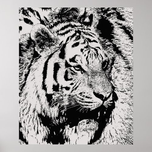 Cool black and white Siberian Tiger print