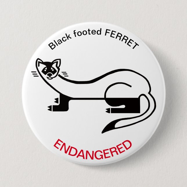 Cool Black-footed FERRET-Wild animals - USA Button (Front)