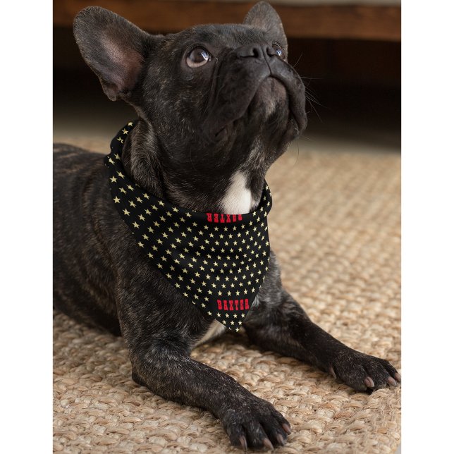 Cool Black Gold Stars Cat Dog Puppy Doggy Name Fun Bandana (Cool Black Gold Stars Cat Dog Puppy Doggy Name Fun Bandana)