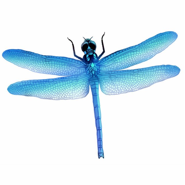 Cool Blue Dragonfly Ornament (Front)