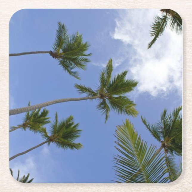 Cool Blue Sky and Palm Trees Square Paper Coaster (Front)