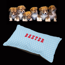 Cool Blue White Stars Pattern Dog Cat Name Plush Pet Bed
