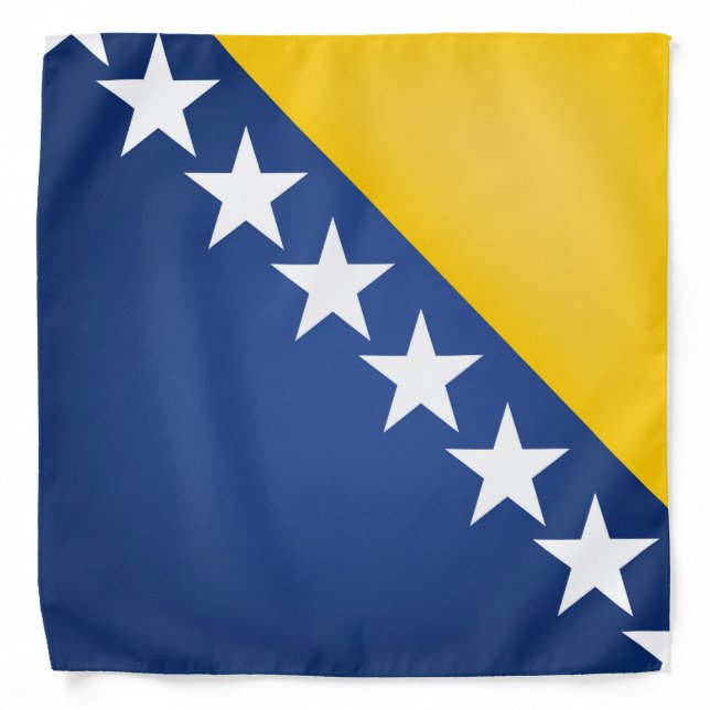 Cool Bosnia And Herzegovina Flag Fashion Bandana (Front)