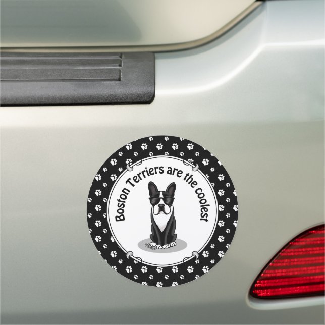 Cool Boston Terrier with Sunglasses (black) Car Magnet (In Situ)
