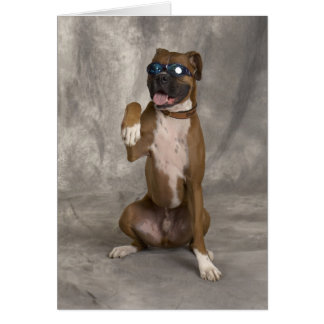 Cool Boxer Cards