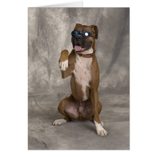 Cool Boxer Cards (Front)