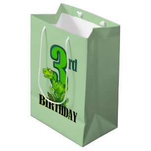 Cool boys dinosaur party 3rd medium gift bag