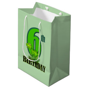 Cool boys dinosaur party 6th medium gift bag