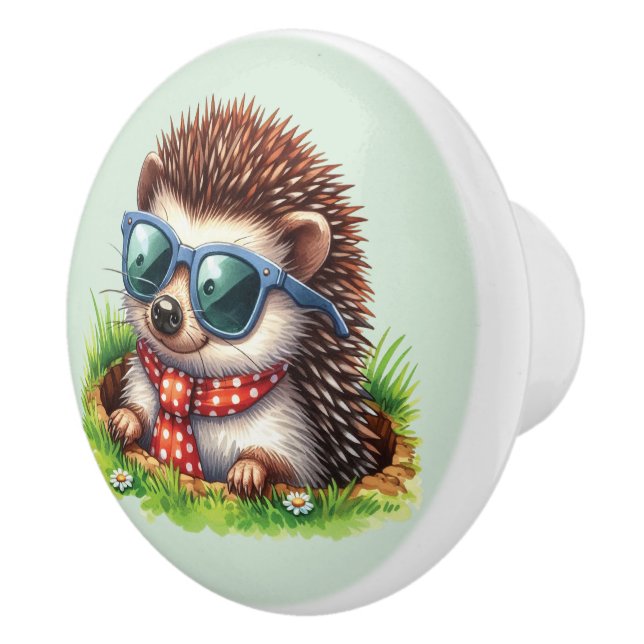 Cool boys hedgehog Nursery  Ceramic Knob (Right)