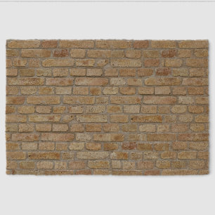 Cool Brown Brick Wall A Novelty Design Fiber Doormat