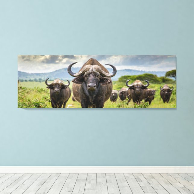 Cool Buffalo Canvas Print! Print (Insitu(Wood Floor))