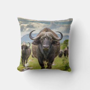 Cool Buffalo Pillow! Throw Pillow