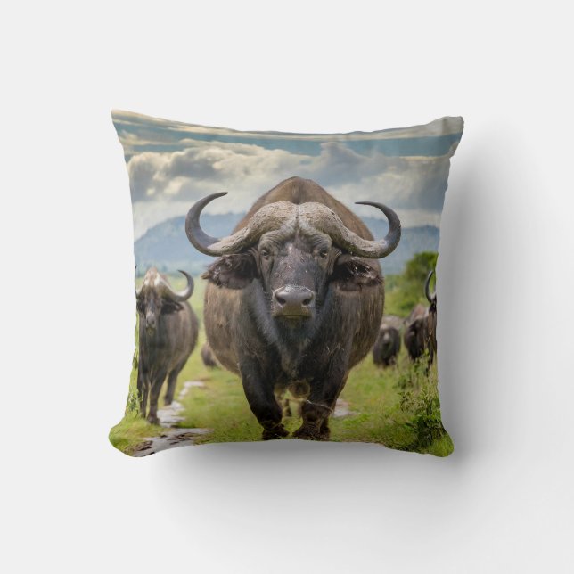 Cool Buffalo Pillow! Throw Pillow (Front)