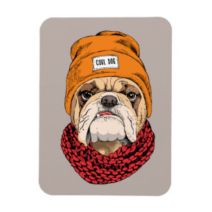 Cool Bulldog Magnet