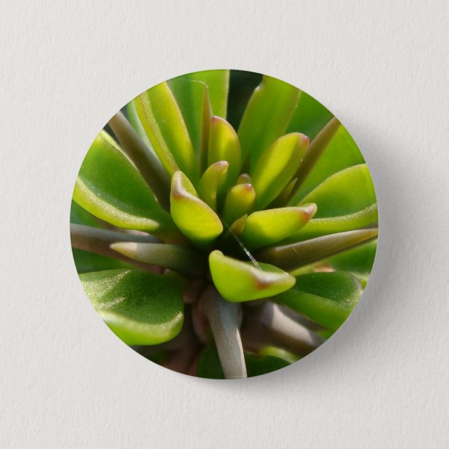 Cool Cactus Pinback Button (Front)