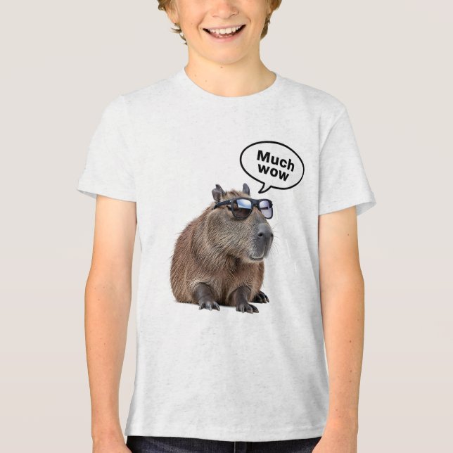  Cool Capybara Photo Sunglasses-Wearing Capybara  Tri-Blend Shirt (Front)