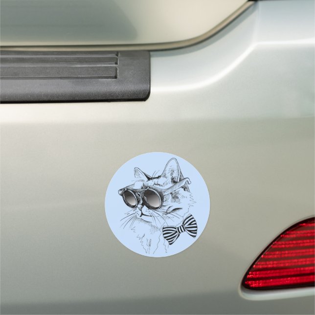 Cool Cat Car Magnet (In Situ)