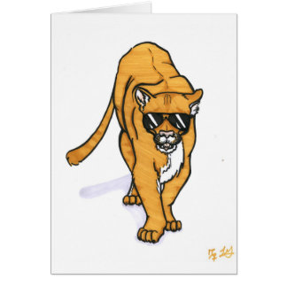 cool cat cards