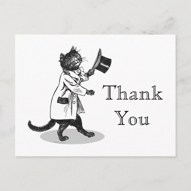 Cool Cat Custom Thank You Postcard (Front)