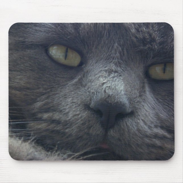 Cool Cat Face Mouse Pad (Front)