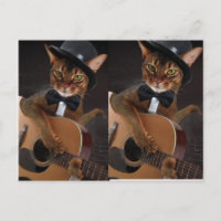 Cool Cat Guitarist