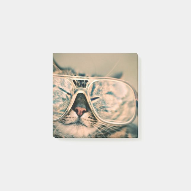 Cool Cat in Glasses Photo print Post-it Notes (Front)