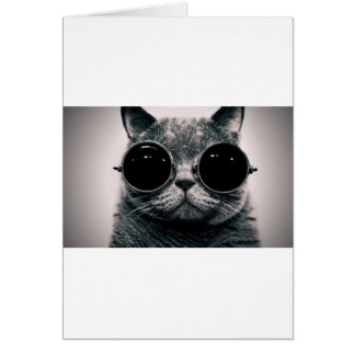 cool cat kool kat with shades cards