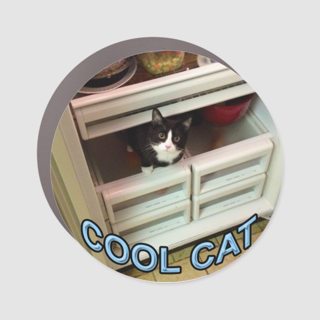 Cool Cat magnet (Front)