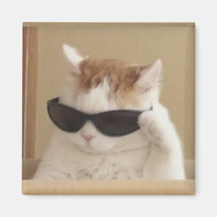 Cool cat meme magnet