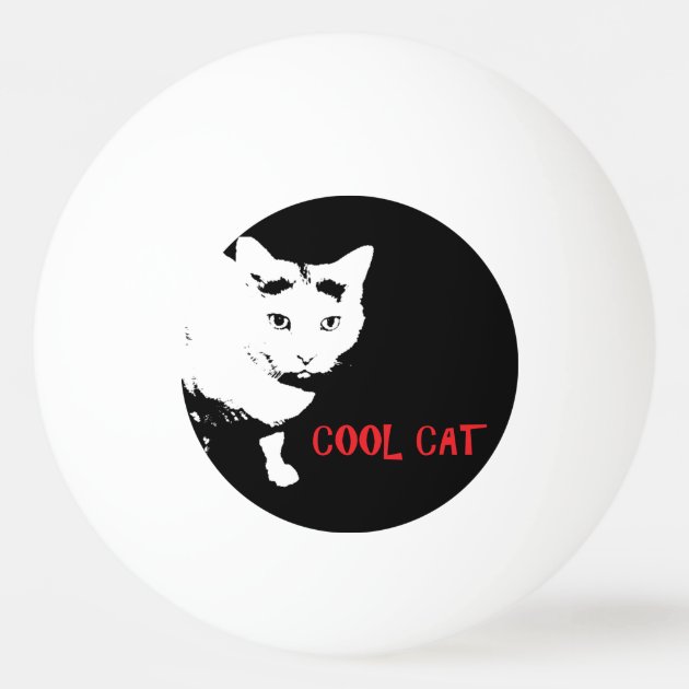 cat ping pong ball