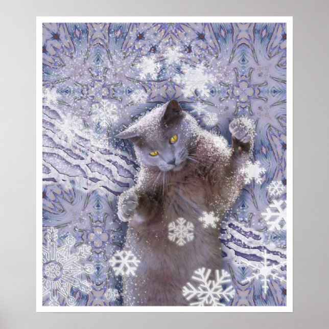 Cool Cat Poster (Front)